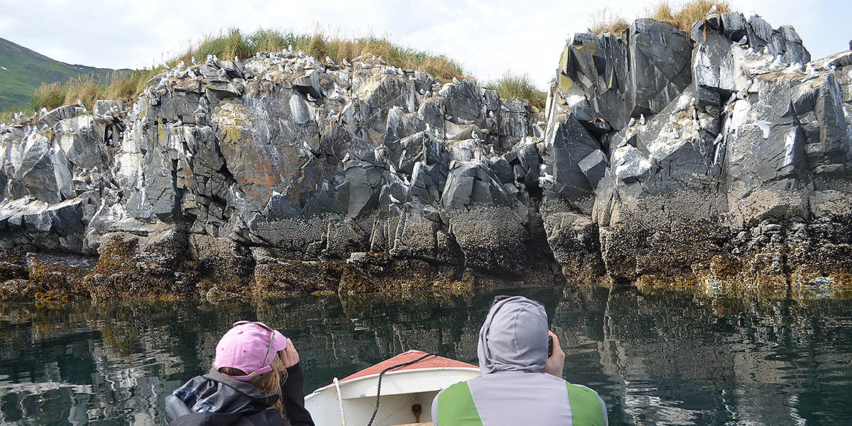 Alaskan Photography Tours